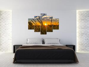 Tablou cu câmp în apus de soare (150x105 cm)