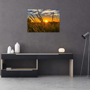Tablou cu câmp în apus de soare (70x50 cm)