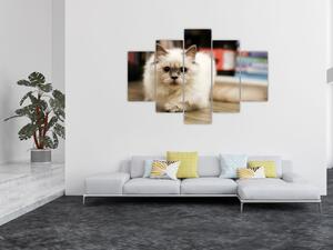 Tablou cu pisica albăr (150x105 cm)
