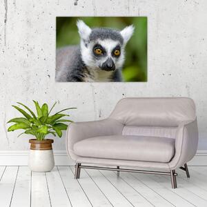 Tablou cu lemur (70x50 cm)
