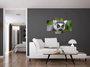 Tablou cu lemur (90x60 cm)