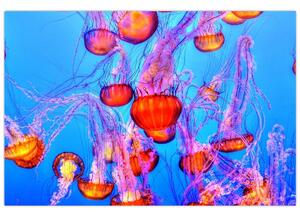 Tablou cu meduse în mare (90x60 cm)