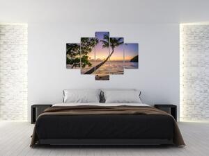 Tablou cu palmier pe plajă (150x105 cm)