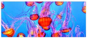 Tablou cu meduse în mare (120x50 cm)