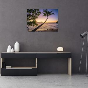 Tablou cu palmier pe plajă (70x50 cm)