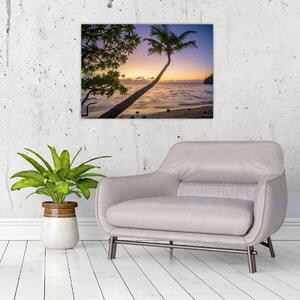 Tablou cu palmier pe plajă (70x50 cm)