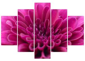 Tablou cu floare (150x105 cm)