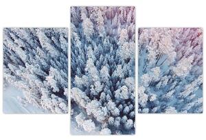 Tablou cu copaci înzăpeziți (90x60 cm)