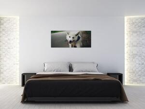 Tablou cu câinele alb (120x50 cm)