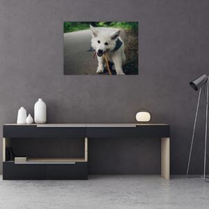 Tablou cu câinele alb (70x50 cm)