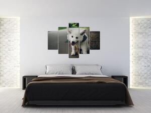 Tablou cu câinele alb (150x105 cm)