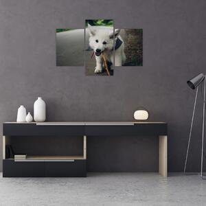 Tablou cu câinele alb (90x60 cm)