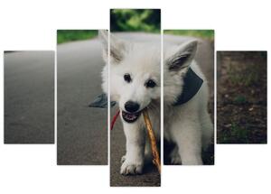 Tablou cu câinele alb (150x105 cm)