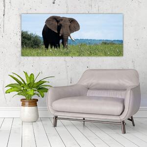 Tablou cu elefant (120x50 cm)