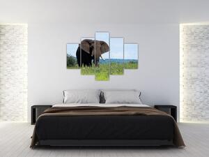 Tablou cu elefant (150x105 cm)