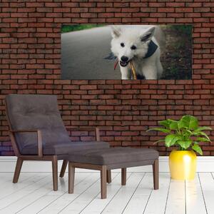 Tablou cu câinele alb (120x50 cm)