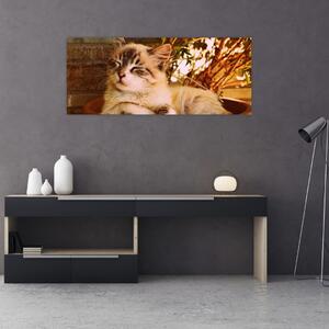 Tablou cu pisica în ghiveci (120x50 cm)