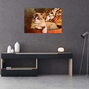 Tablou cu pisica în ghiveci (90x60 cm)