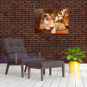 Tablou cu pisica în ghiveci (70x50 cm)