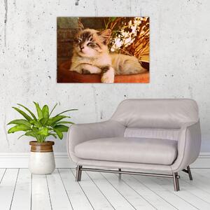 Tablou cu pisica în ghiveci (70x50 cm)