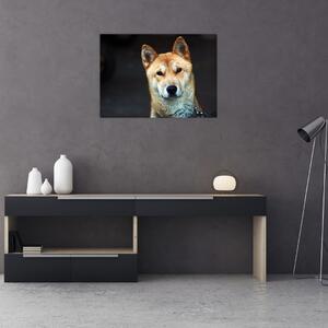 Tablou cu câine (70x50 cm)