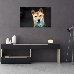 Tablou cu câine (90x60 cm)