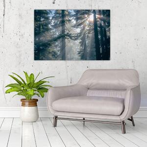 Tablou cu copaci și soarele translucind (90x60 cm)
