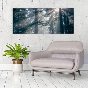 Tablou cu copaci și soarele translucind (120x50 cm)