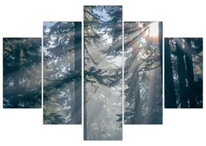 Tablou cu copaci și soarele translucind (150x105 cm)