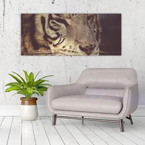 Tablou cu tigrul (120x50 cm)