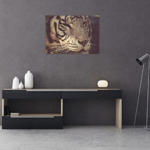 Tablou cu tigrul (70x50 cm)
