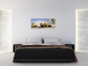 Tablou cu cățeluș dormind (120x50 cm)