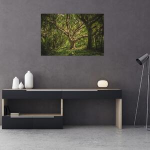 Tablou cu copaci (90x60 cm)