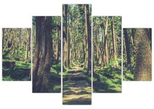 Tablou cu drum între copaci (150x105 cm)