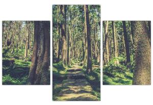 Tablou cu drum între copaci (90x60 cm)