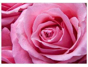 Tablou cu trandafir (70x50 cm)