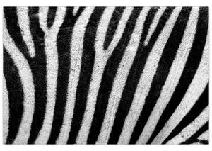 Tablou cu piele de zebră (90x60 cm)
