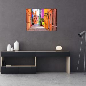 Tablou cu străduță colorata italiană (70x50 cm)