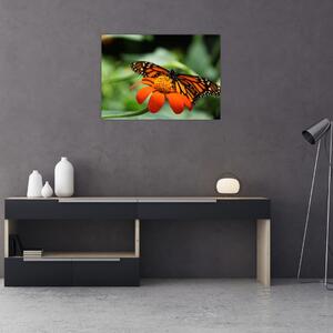 Tablou cu fluture pe floare (70x50 cm)
