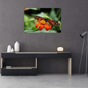 Tablou cu fluture pe floare (90x60 cm)