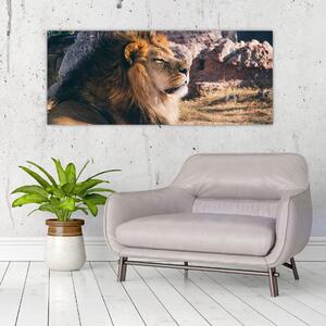 Tablou cu leul dormind (120x50 cm)