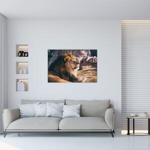 Tablou cu leul dormind (90x60 cm)