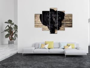 Tablou cu cățeluș negru (150x105 cm)
