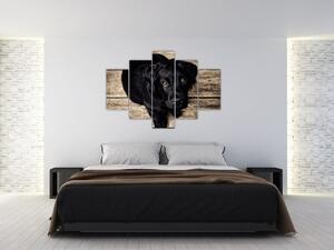 Tablou cu cățeluș negru (150x105 cm)