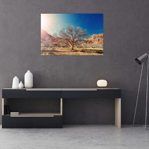 Tablou cu cu copac în deșert (90x60 cm)