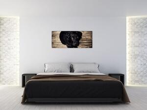 Tablou cu cățeluș negru (120x50 cm)
