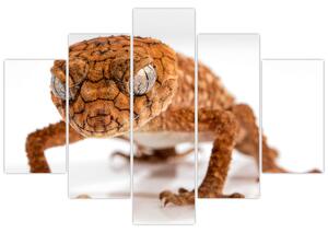 Tablou cu șopârlă (150x105 cm)