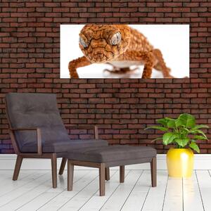 Tablou cu șopârlă (120x50 cm)