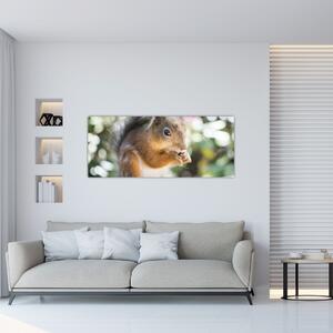 Tablou cu veverița (120x50 cm)