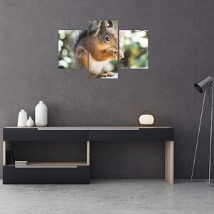 Tablou cu veverița (90x60 cm)